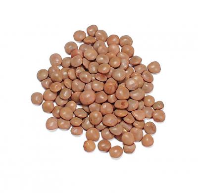 B27-brown-lentils-main